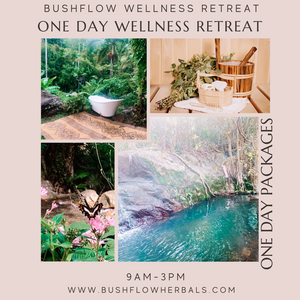 One Day Wellness Retreat