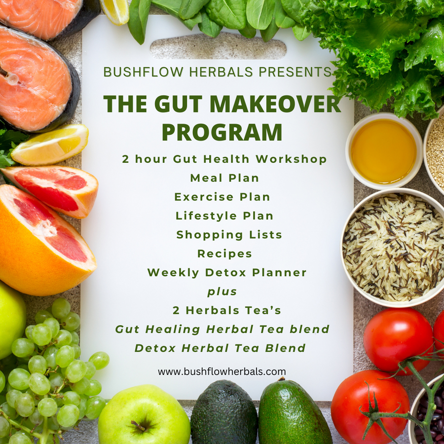 The Gut MakeOver Workshop- Wednesday 30th November 630pm-830pm